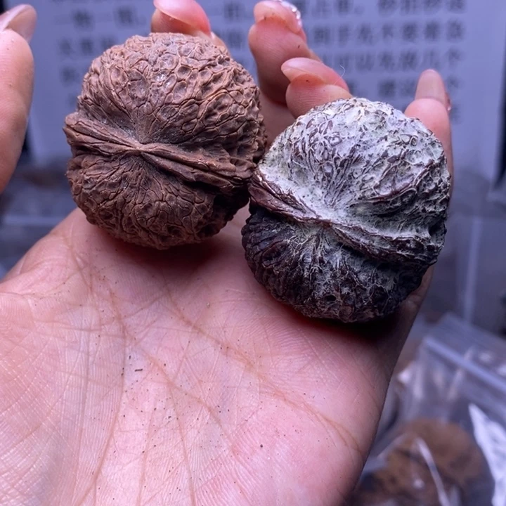 核桃云南野生铁核桃95号39mm