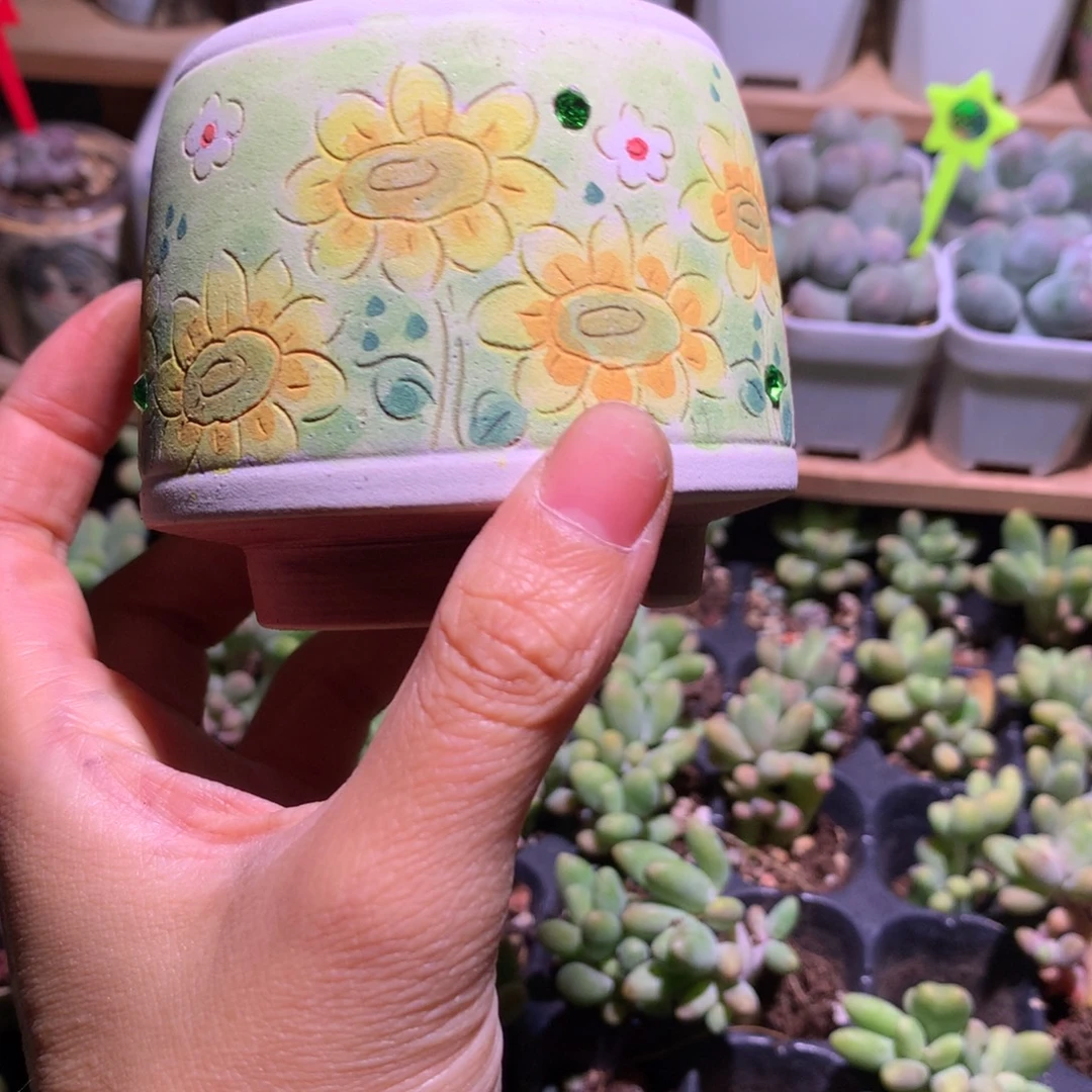 崔***花花盆和高后给哈更尴尬