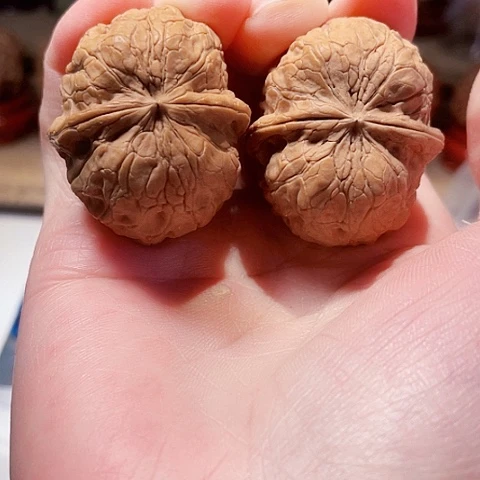 把件文玩核桃木鱼金砖带彩38+