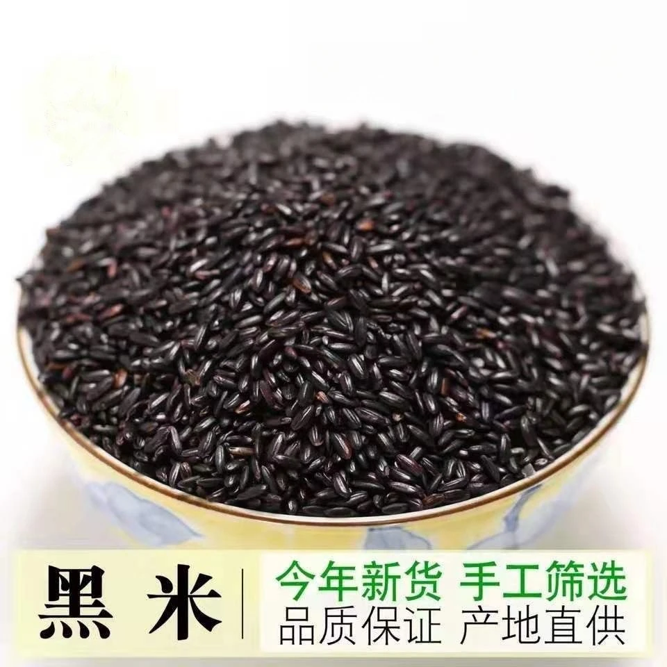 优质黑米新米5斤/1斤五常黑香米 农家自产 无染色五谷杂粮
