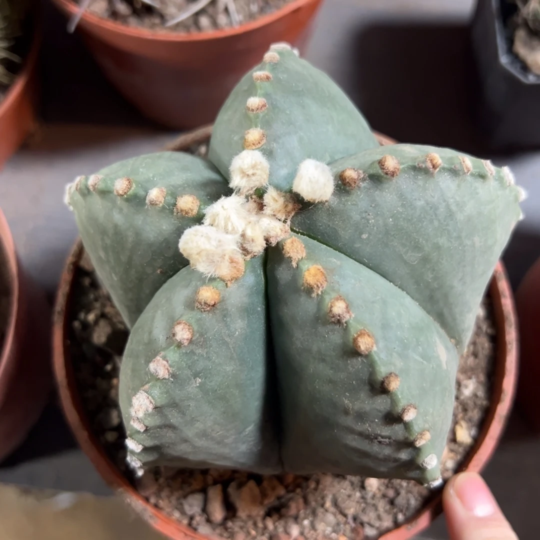 莉***姐哈哈哈哈哈哈哈哈哈哈哈哈哈哈