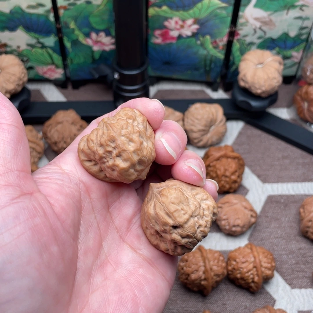 风***轻手串/手链核桃古蝉35