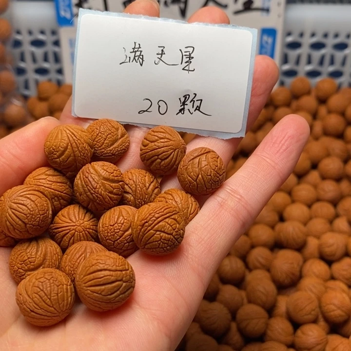桃核手串20颗14尺寸左右野生满天星打好底带绳（打孔）