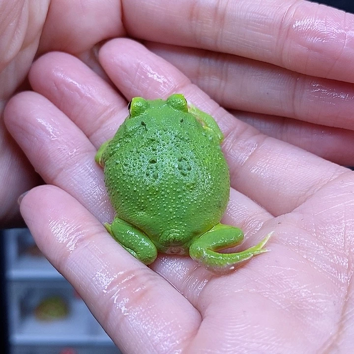 特价秒杀特价原价