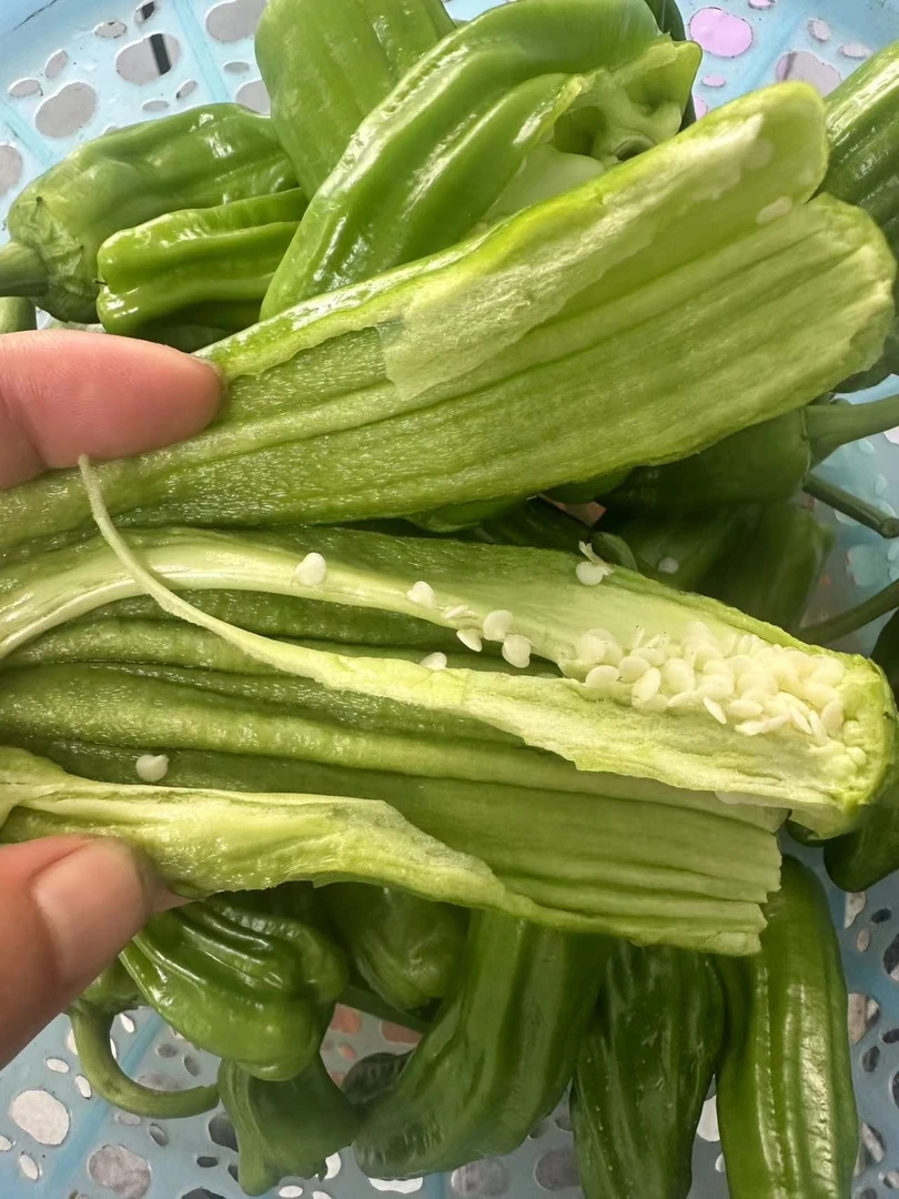 湖北本地精品薄皮辣椒现摘现发3斤/5斤包邮