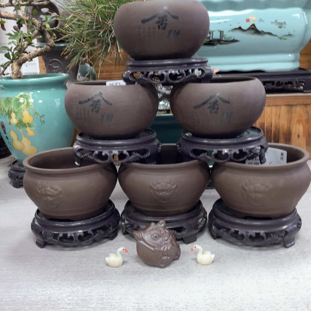 陶瓷紫砂花盆抢购福利