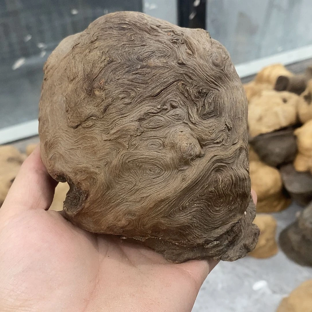 荔枝木自***店荔枝木原料