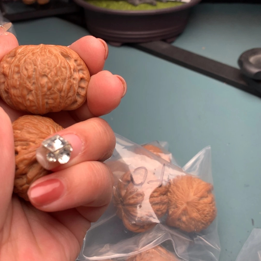 文玩核桃把件全品铁锤4041