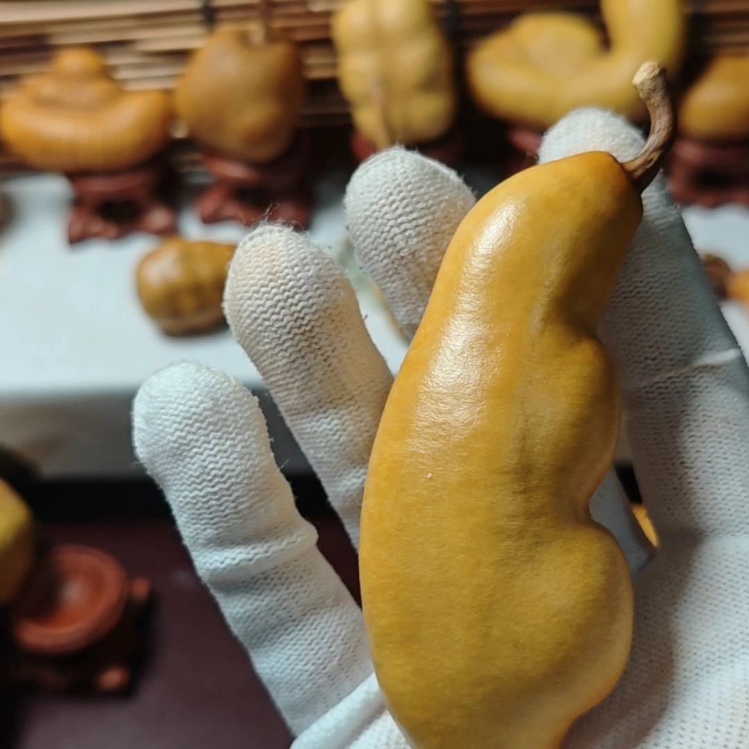 悟***6精品土豆葫芦一物一拍