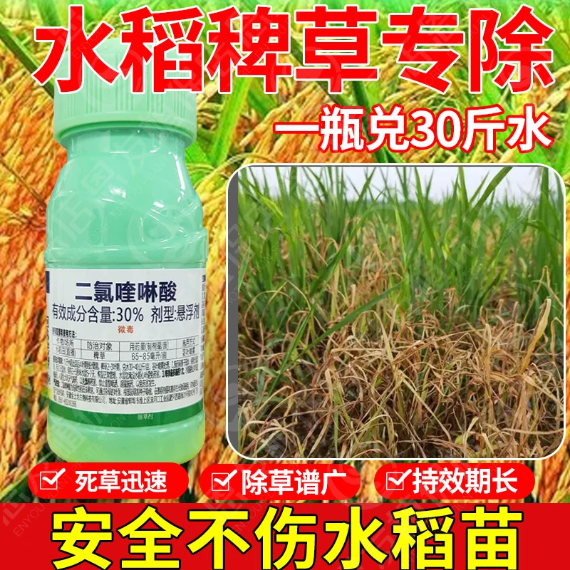 30%二氯喹啉酸水稻苗后除草剂大龄抗性稗草老草千金子牛毛毡农药