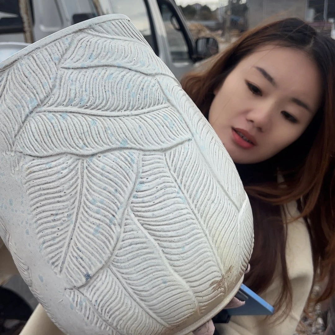 白打点芭蕉叶一个微瑕