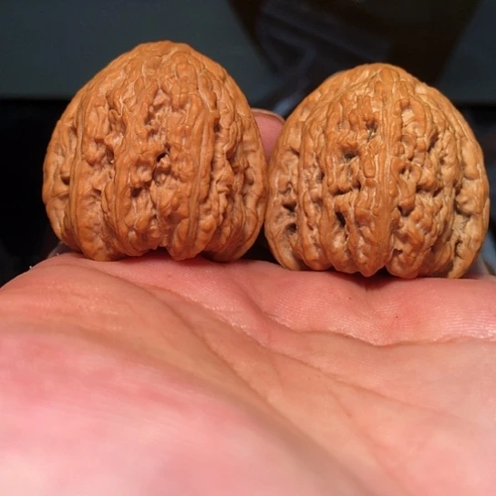 有机玻璃38全品承德密纹