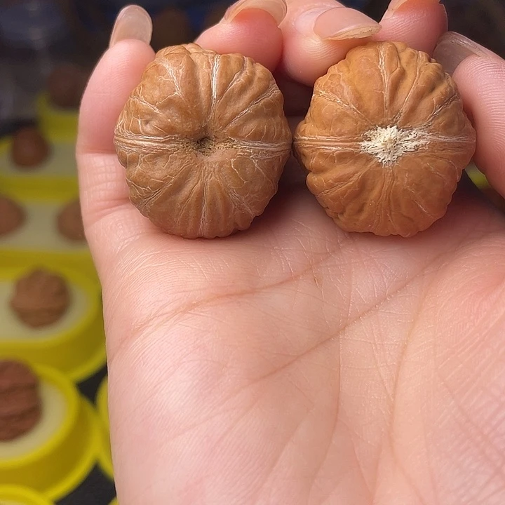文玩核桃吊坠树皮纹