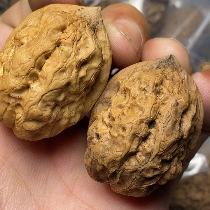 把件文玩核桃云南铁核桃23号39mm