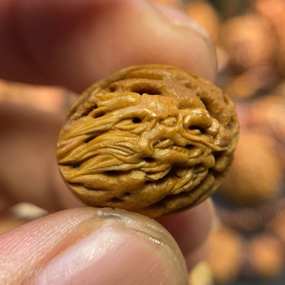 开播福利龙行天下