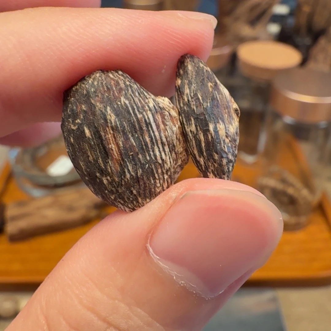 沉香惠东棋韵瓜子