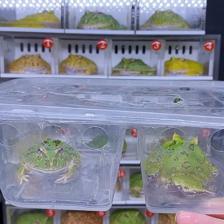 特价秒杀现货供应