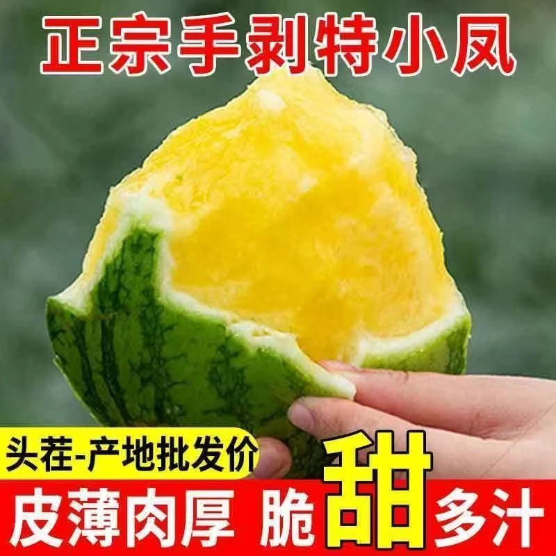【梦中情瓜】黄金特小凤黄心西瓜仁风富硒黄心薄皮手撕黄金小凤瓜