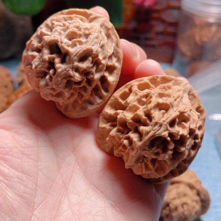 亮40尺寸苹果圆狮子头