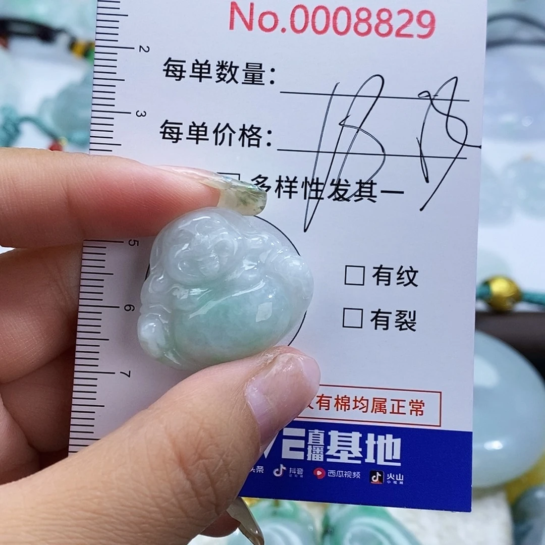 翡翠未镶嵌颈饰8829