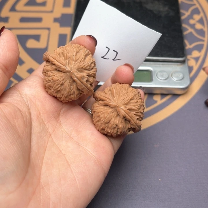 文玩核桃把件36白狮子 22号