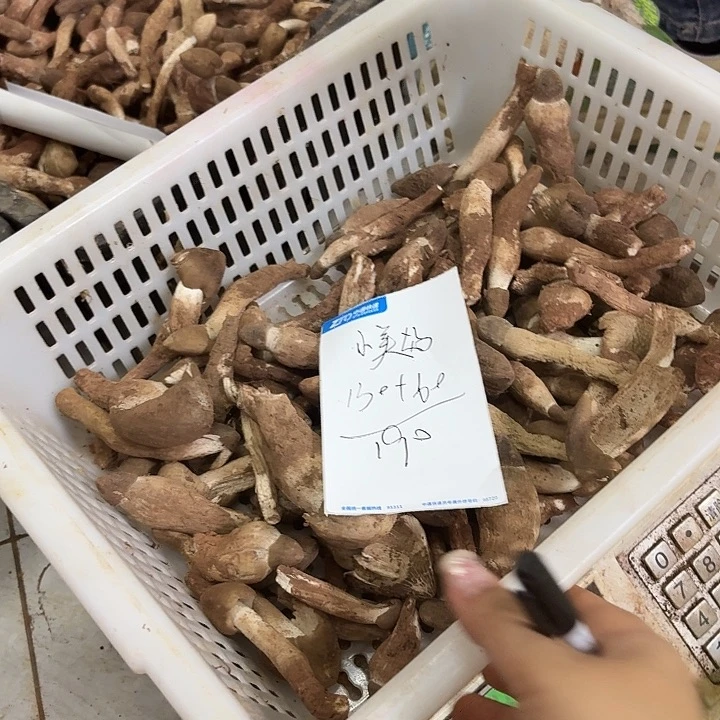 小****南华……………………………………中国大陆
