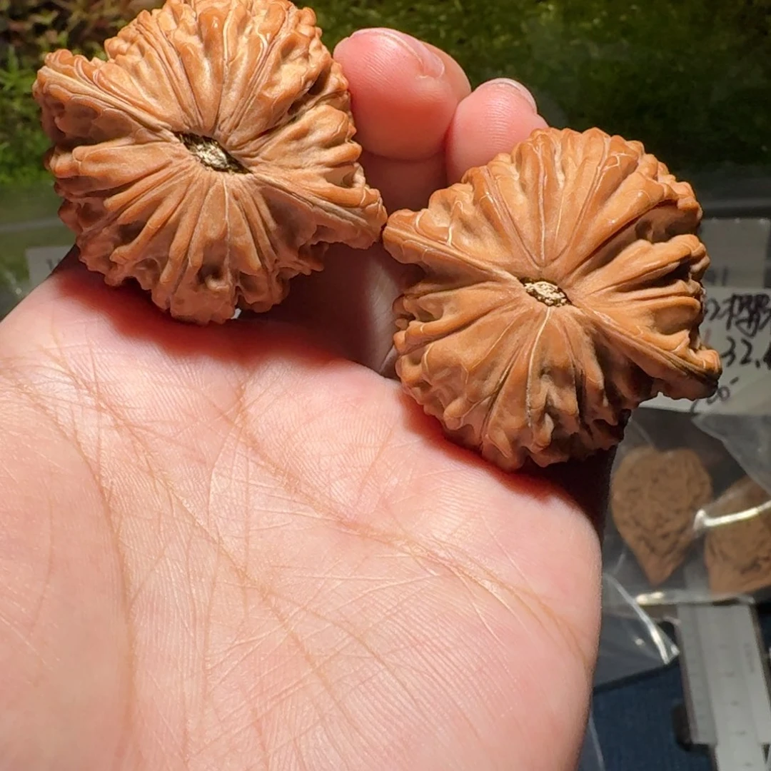 871号42尺寸全品正磨文玩核桃