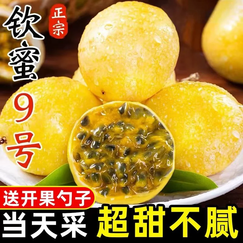 【二十枚】正宗钦蜜九号黄金百香果 配开果器  坏果包赔xx