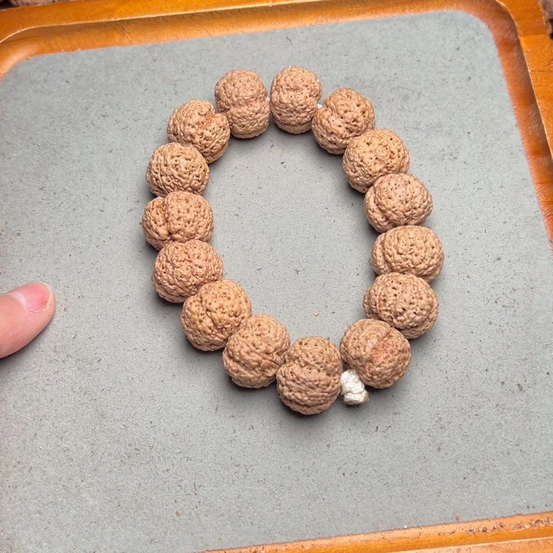 菩提1号金刚菩提菠萝蜜21