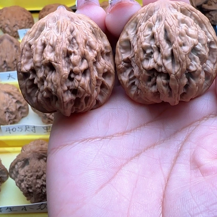 大*哥文王核桃全屏色差，我们核桃闻完核桃