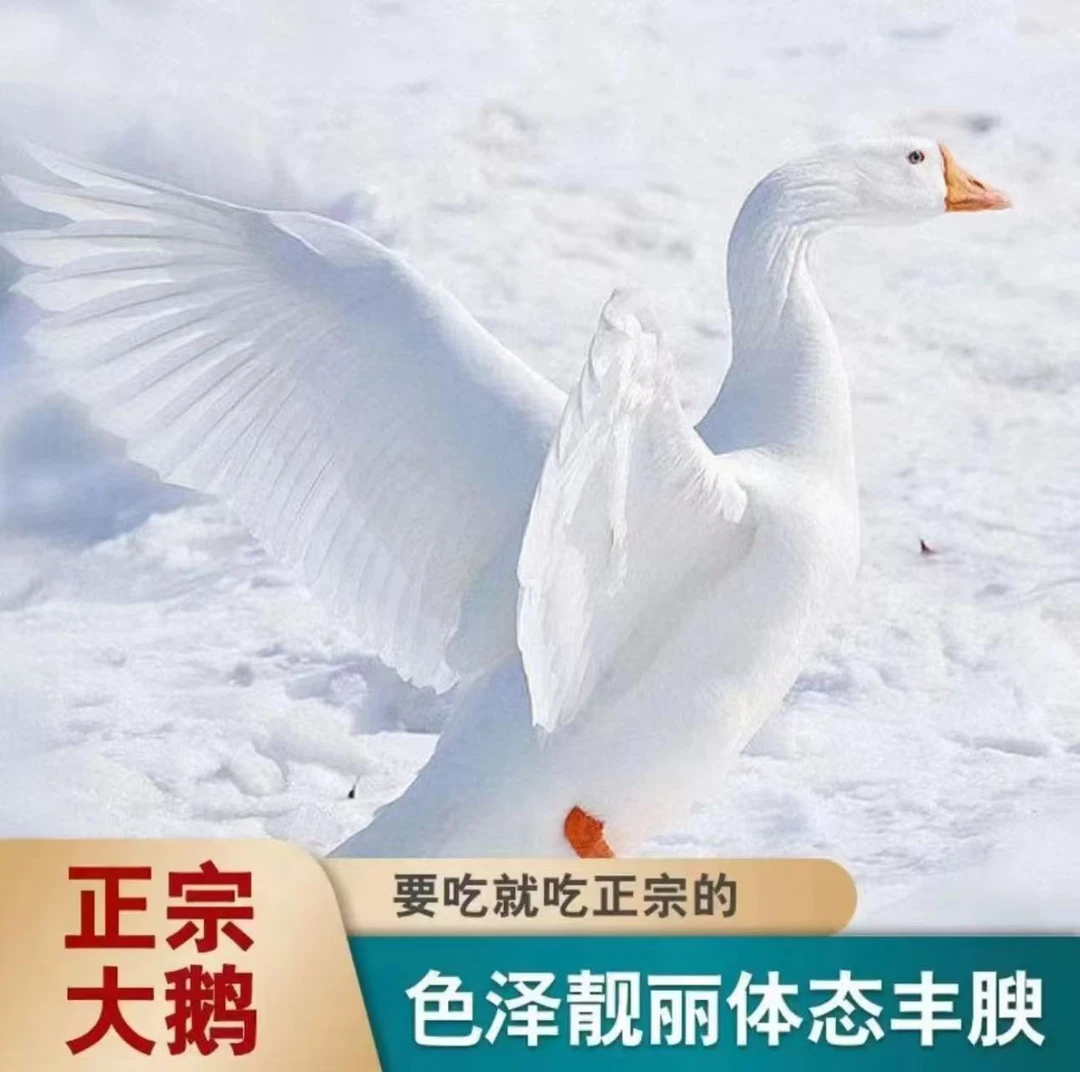 大白鹅两只净重10斤左右带心带肝整只鹅肉冷冻发货京东快递到家