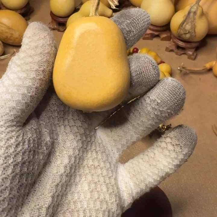 世***尘葫芦11111111111111