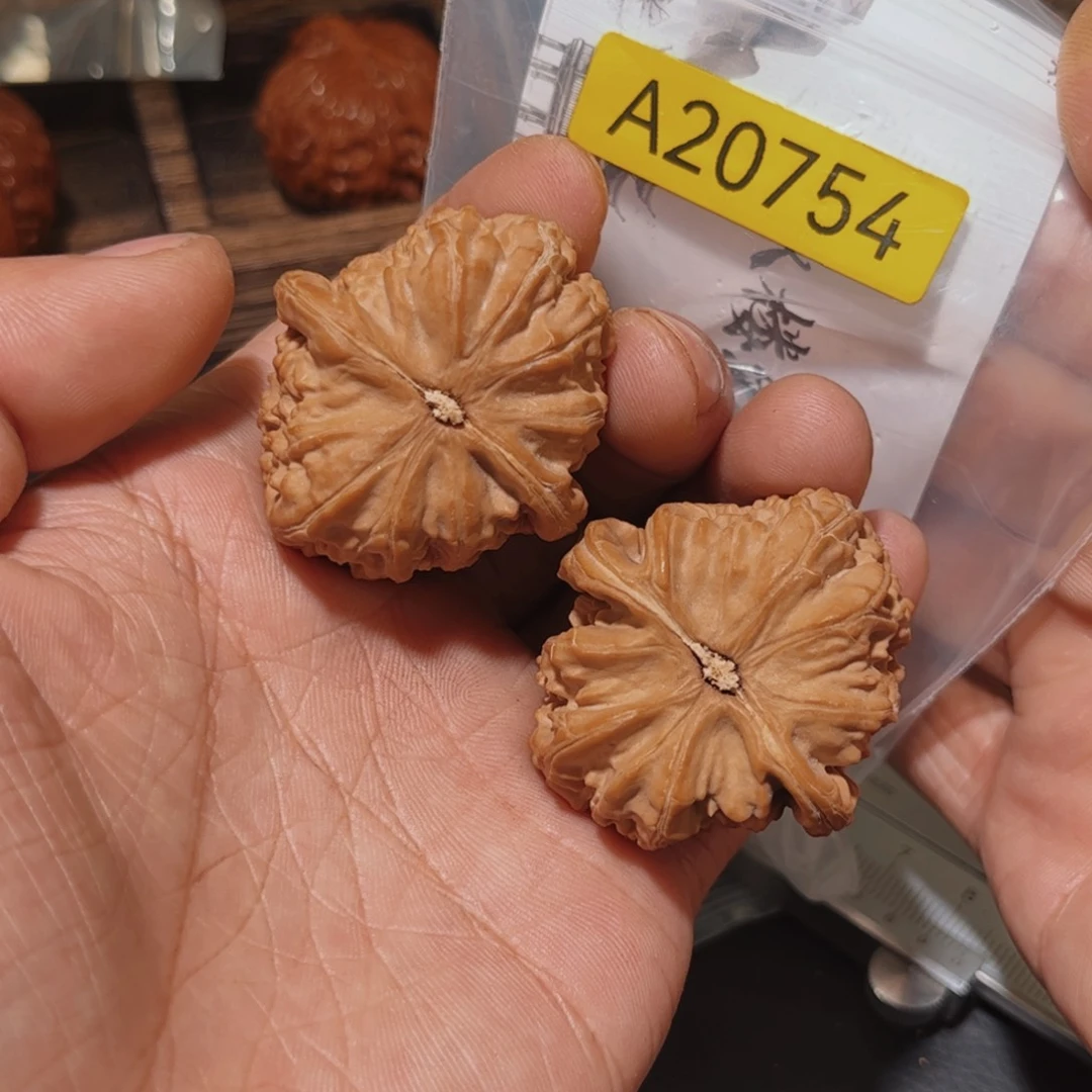 文玩核桃吊坠白狮子