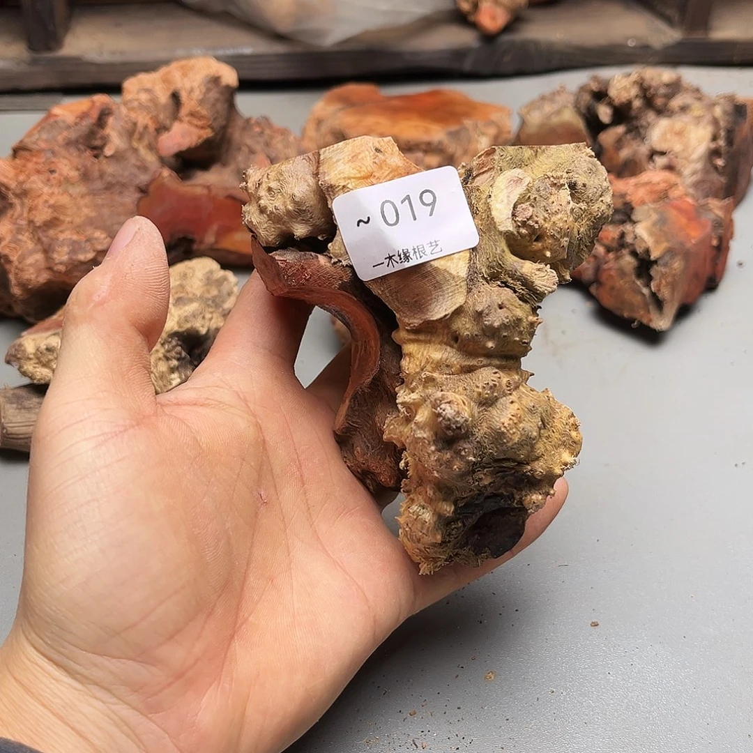 ~***~无花朵00000000019