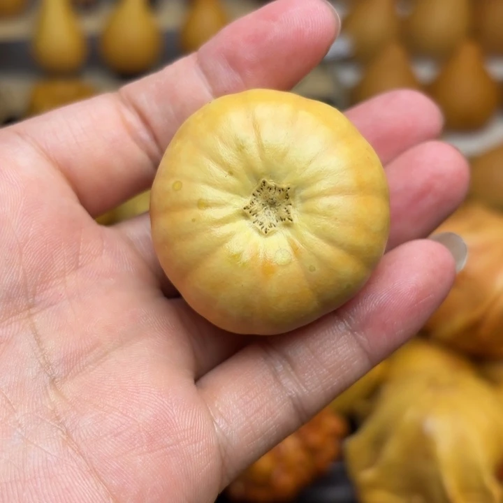 人*福利福利福利福利