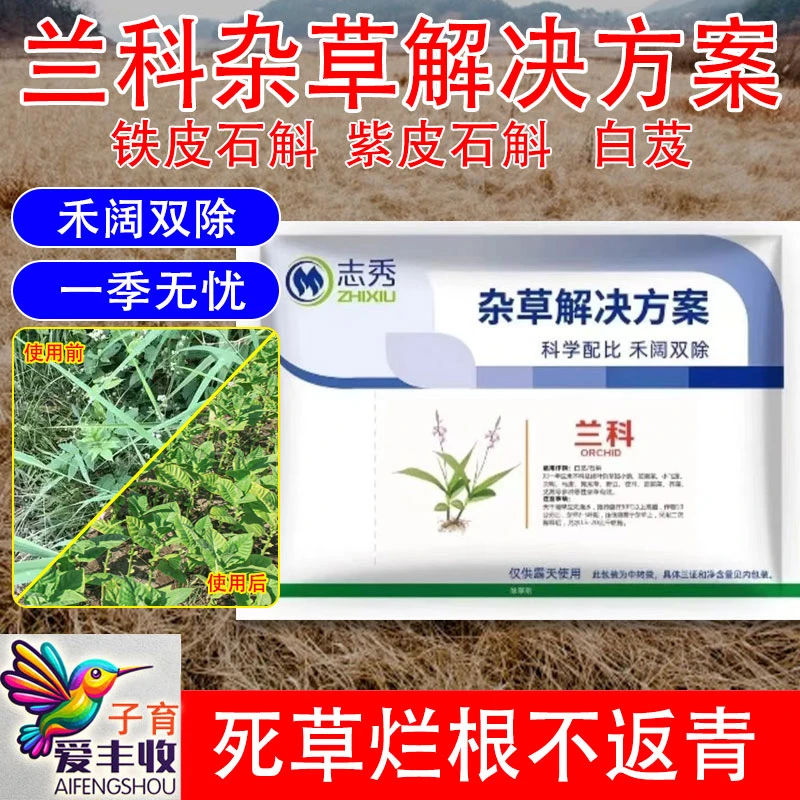 爱丰收兰科杂草解决方案铁皮石斛紫皮石斛白芨禾阔双除除草剂