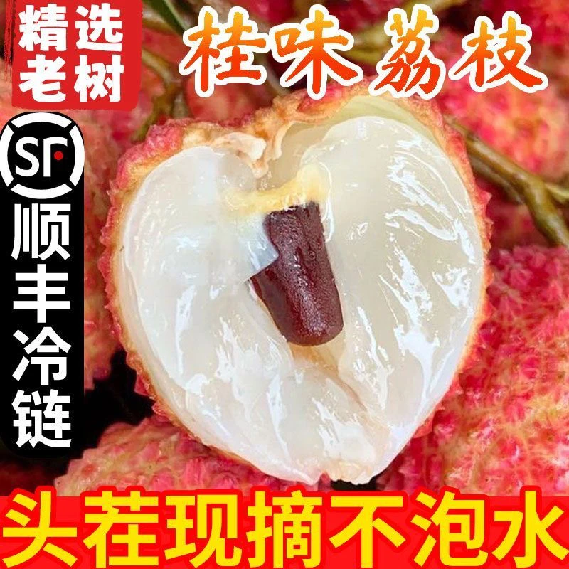（顺丰包邮）广西桂味荔枝新鲜现摘当季应季水果顺丰冷链发货