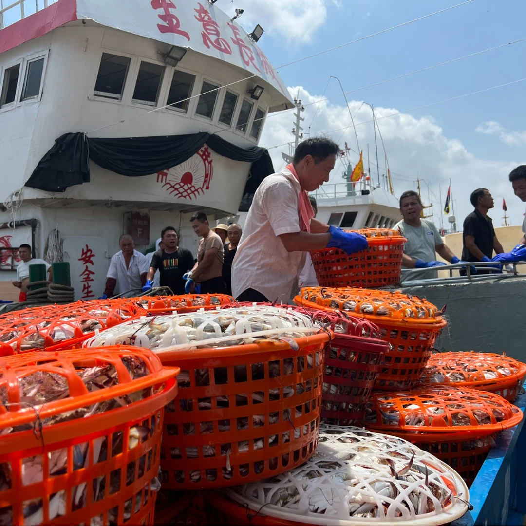 【保鲜不保活】舟山野生梭子蟹公蟹4-7两/只4斤6-9只顺丰包邮海鲜梭子蟹同城