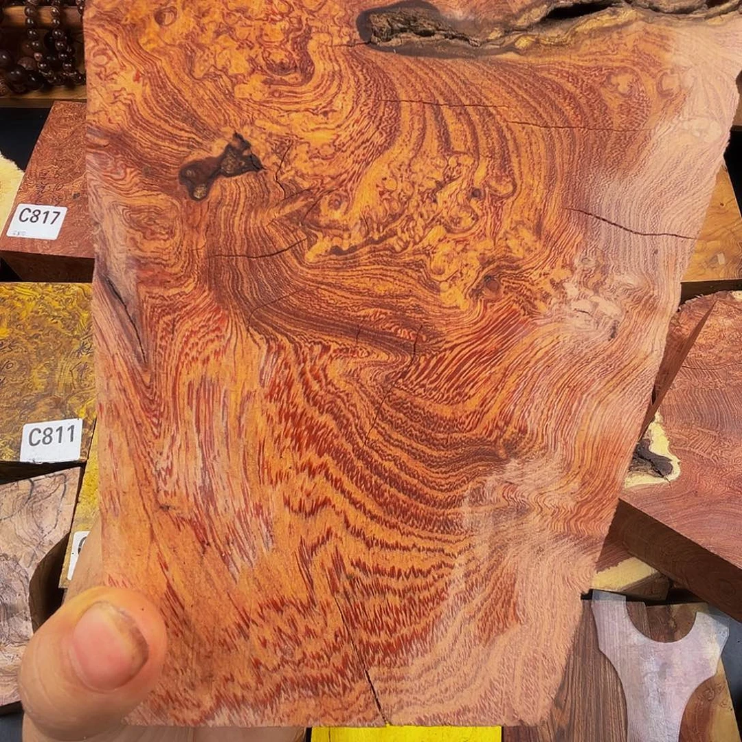 香榧木淡*小叶羊蹄甲留疤料