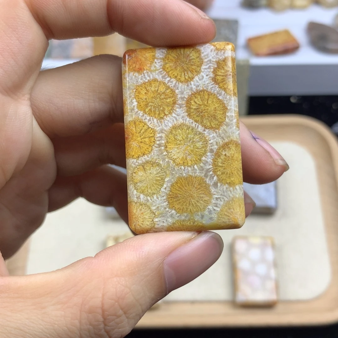 硅化珊瑚（珊瑚玉）无未镶嵌珍**康