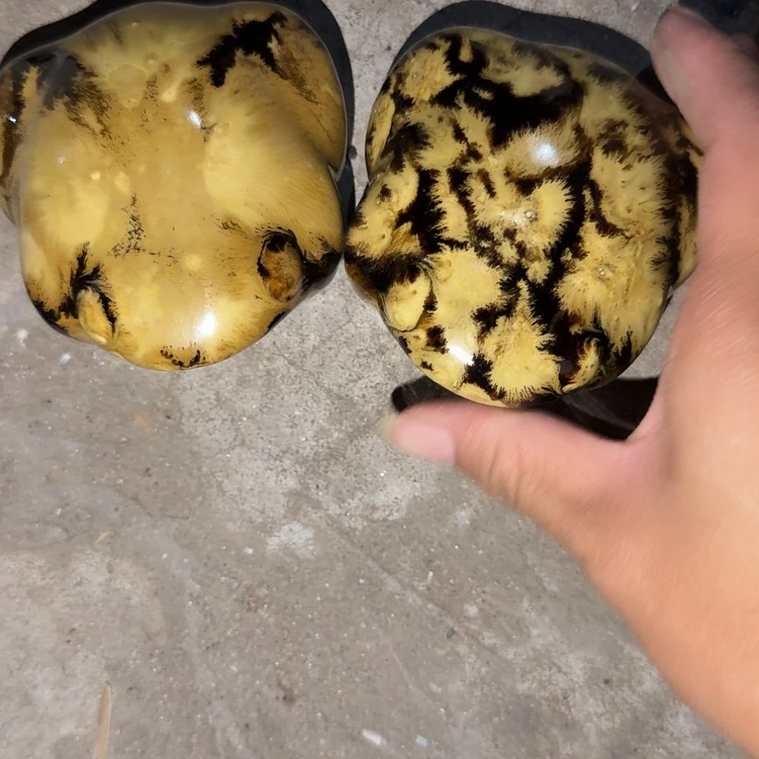 老货你在干嘛了我在