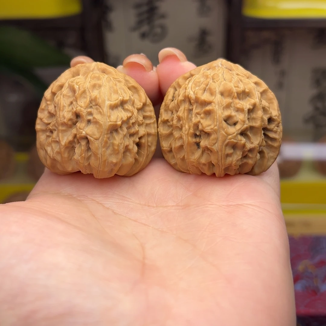 白狮子头三十八尺