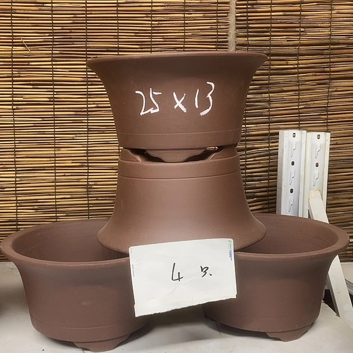 紫砂花盆我在外面