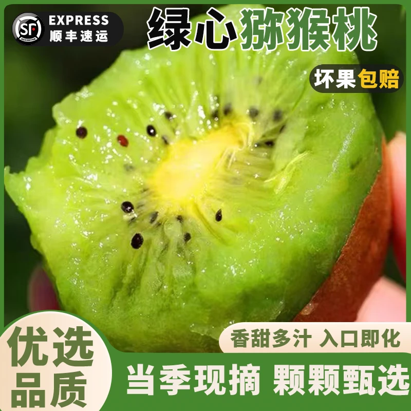 顺丰冷链 贵州贵长修文绿心猕猴桃新鲜应季奇异果水果现摘现发