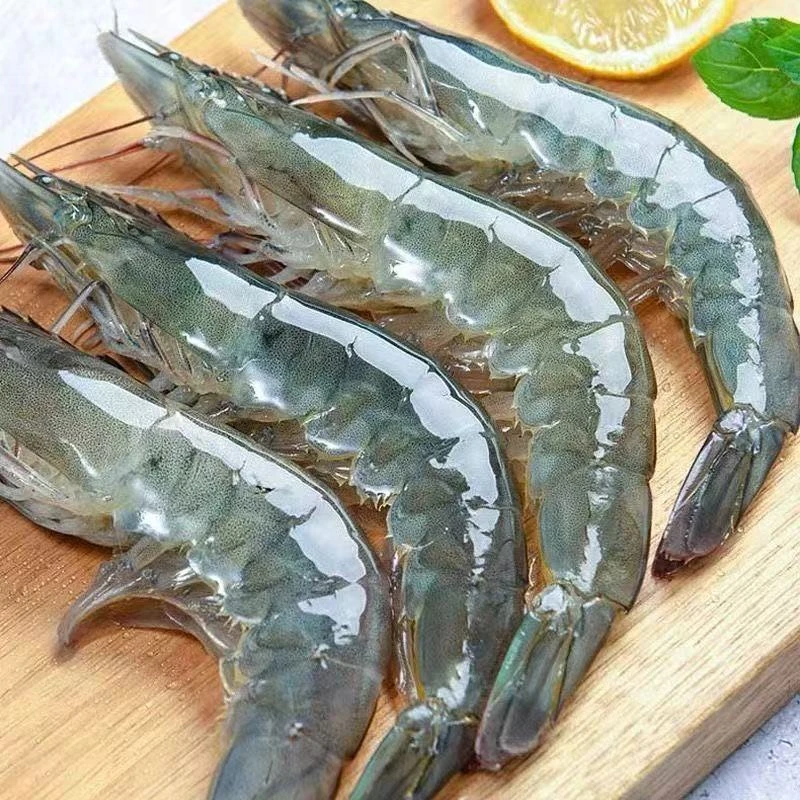 大大号新鲜海洋大虾鲜活速冻88/4斤 顺丰发货精品