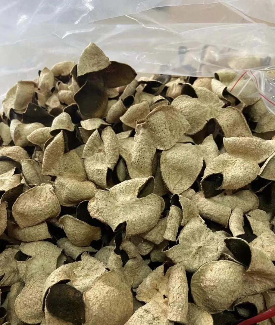 【2019年梅江大青皮  】新会梅江自家果园自产自销