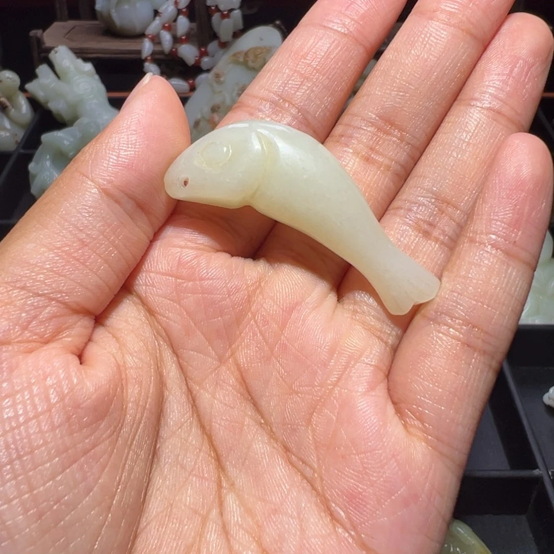 缸一物一图 所见所得