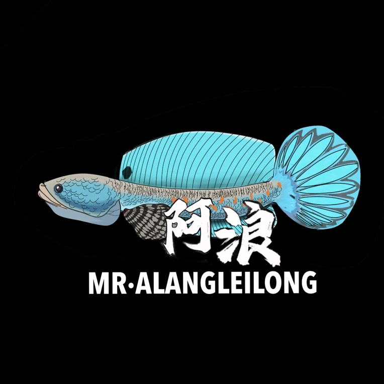 幻彩系列红蓝雷龙观赏鱼新手必玩凶猛且互动性强