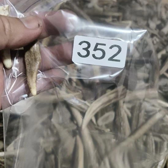 熊***生鹿角鹿角鹿角鹿角鹿角鹿角