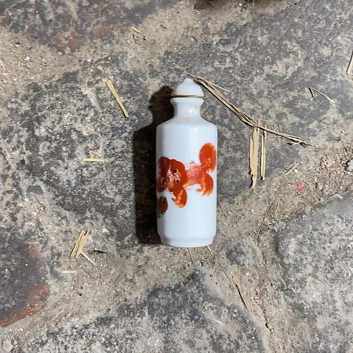 启***航直播间的时实画面